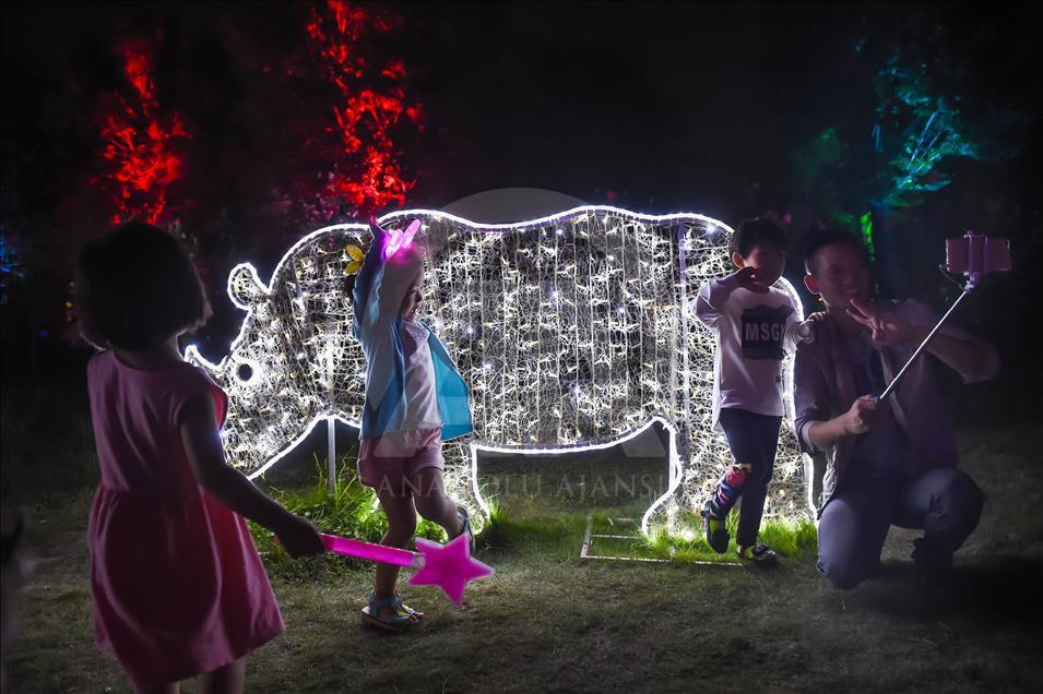 Çin'de Işık Festivali