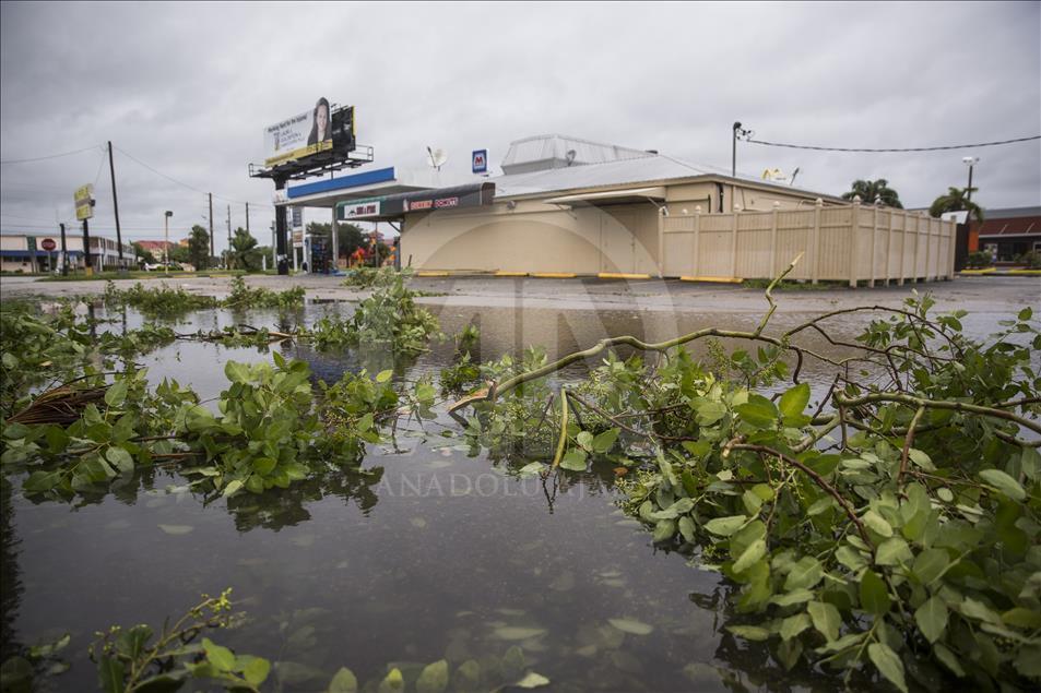Hurricane Matthew Clean-up