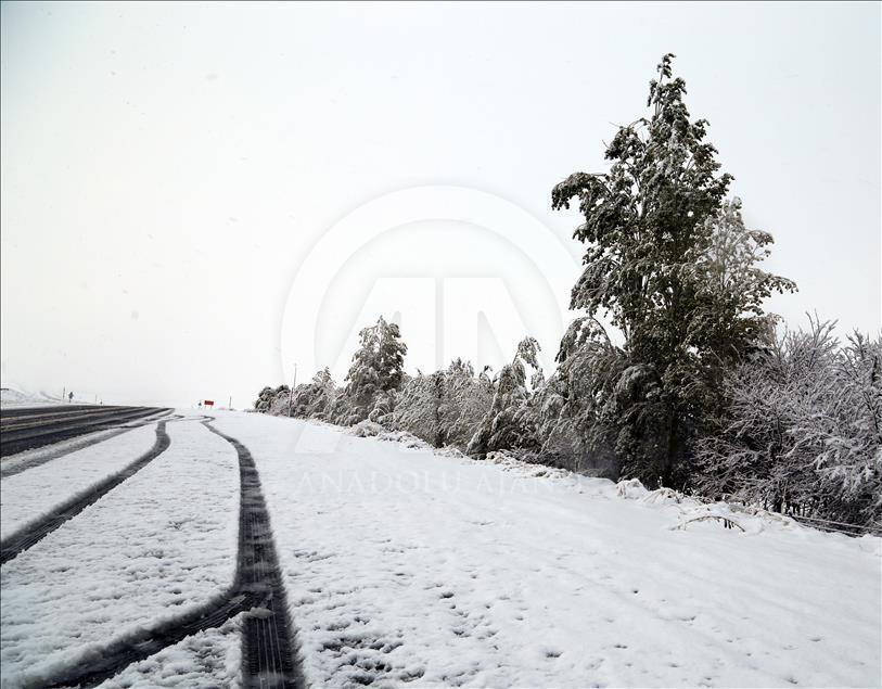 Erzurum'da kar yağışı