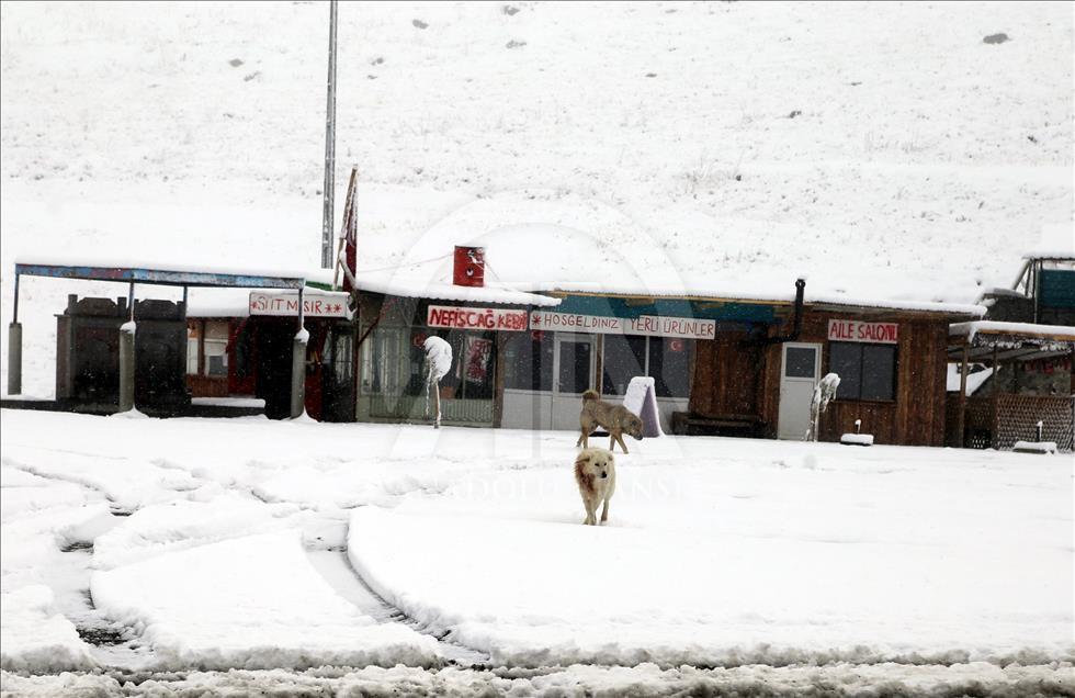 Erzurum'da kar yağışı