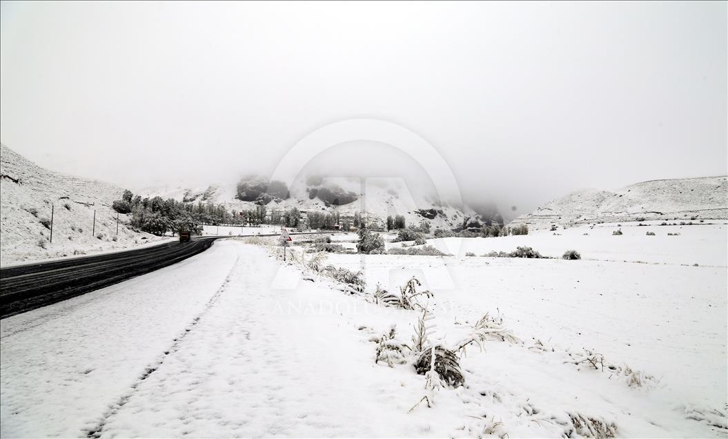 Erzurum'da kar yağışı