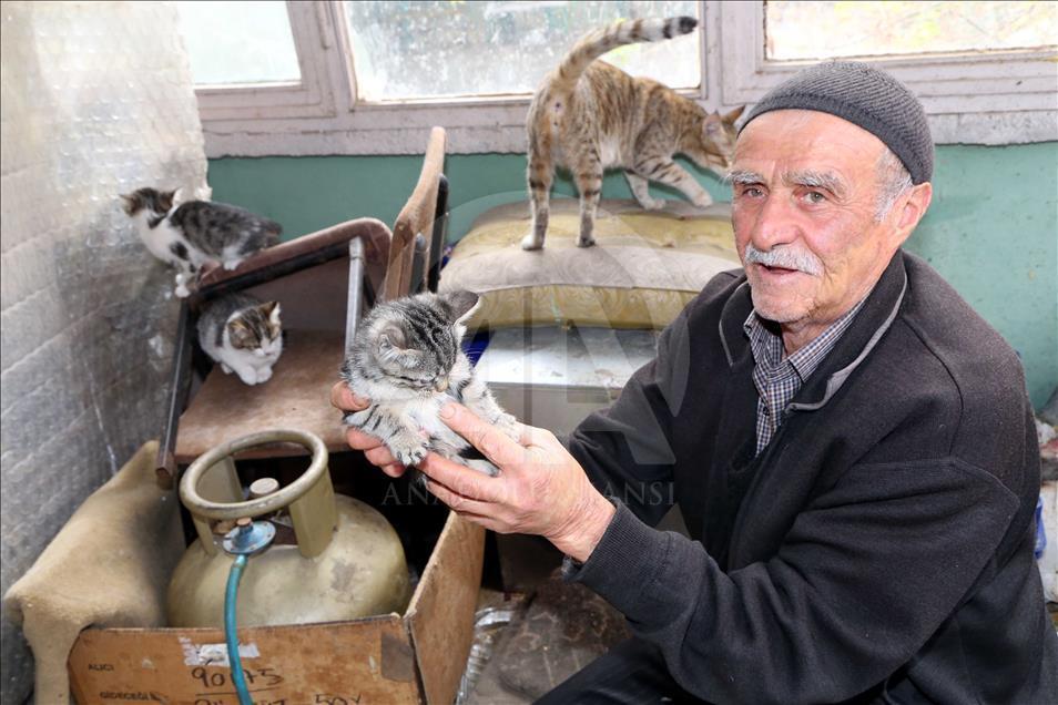 Sokak kedilerine çocuğu gibi bakıyor