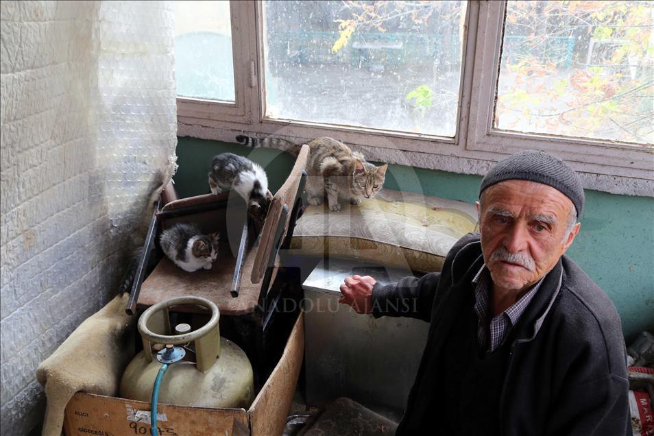 Sokak kedilerine çocuğu gibi bakıyor
