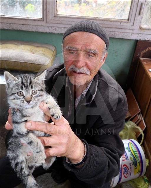Sokak kedilerine çocuğu gibi bakıyor