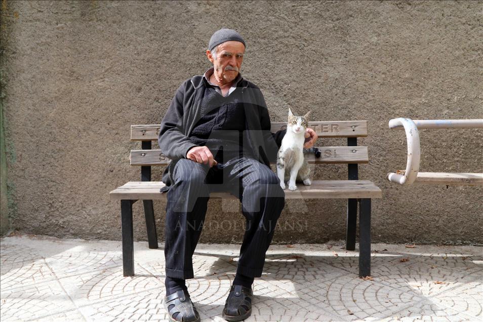 Sokak kedilerine çocuğu gibi bakıyor