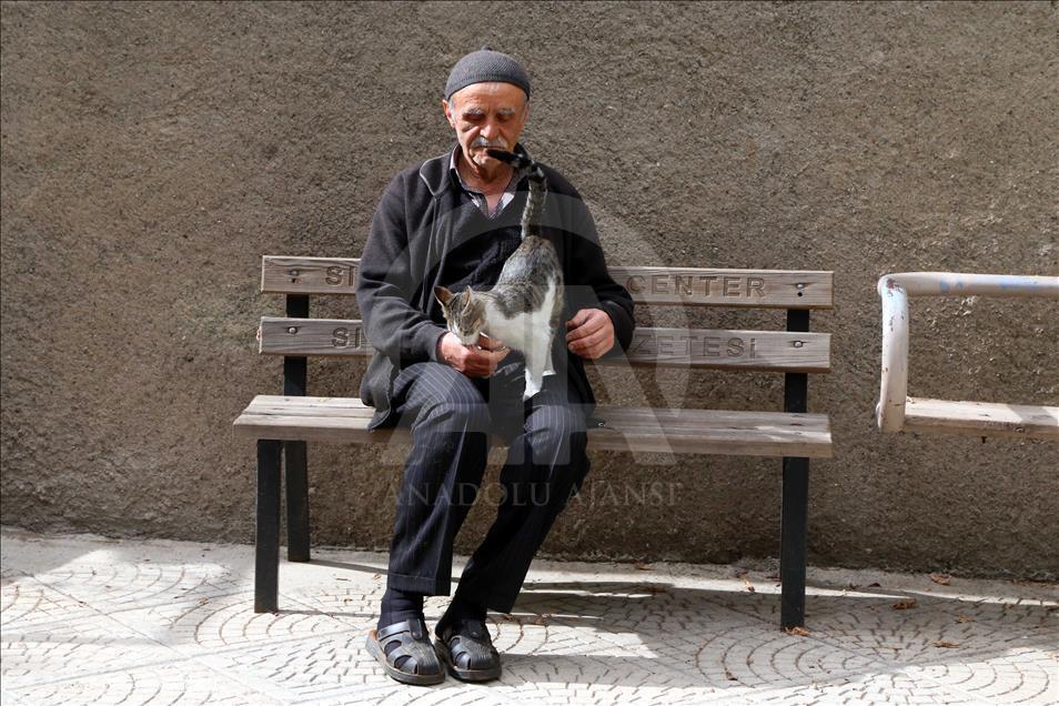 Sokak kedilerine çocuğu gibi bakıyor