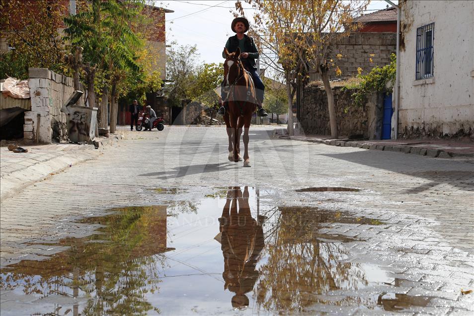 Modern çağın kovboyu