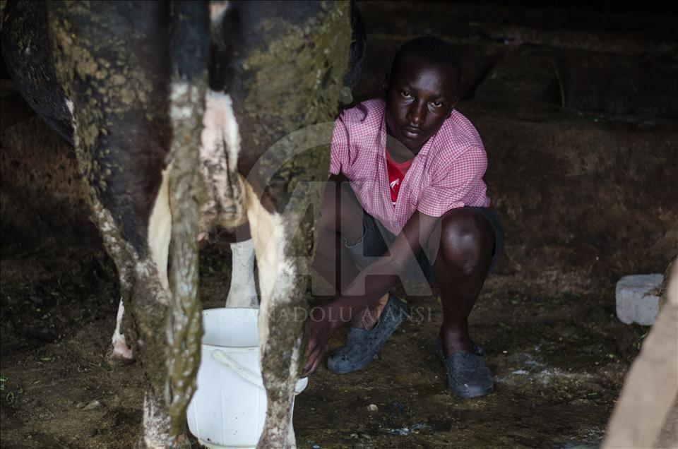 Kenya'da 600 kimsesiz çocuk iki katlı yetimhanede kalıyor