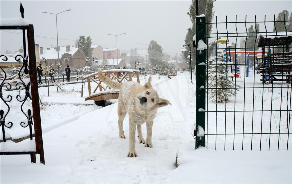 Kars'ta kar yağışı 