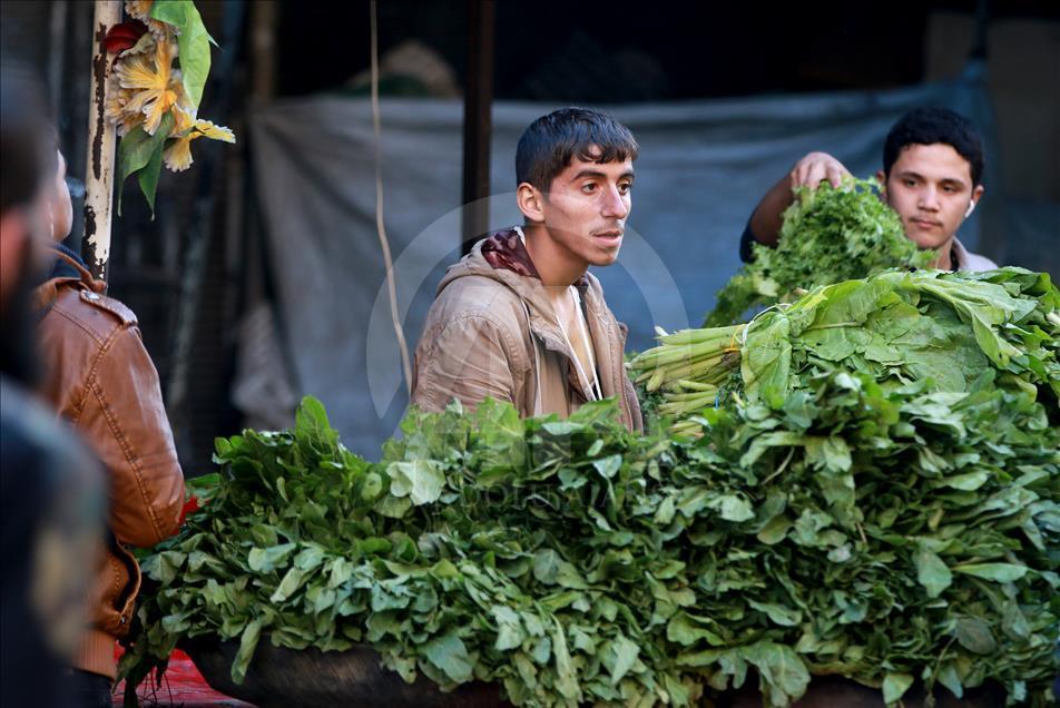 Kuşatma altındaki Halep'te yaşam