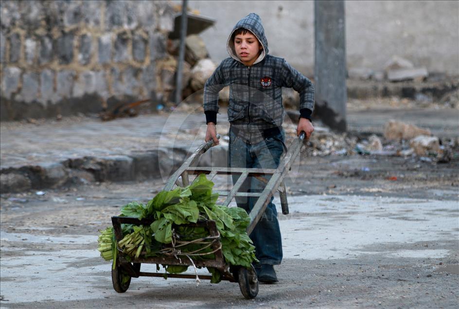 Kuşatma altındaki Halep'te yaşam