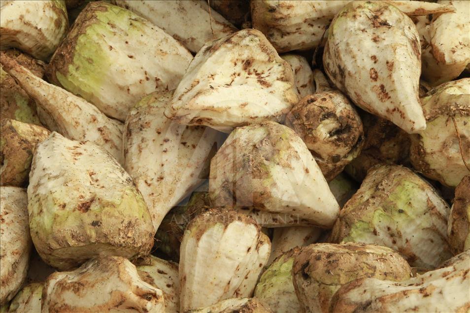 Pancarın pekmeze "tatlı" yolculuğu