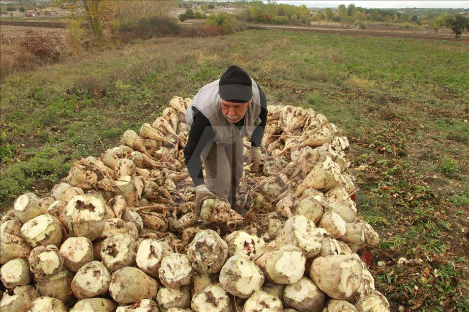 Pancarın pekmeze "tatlı" yolculuğu