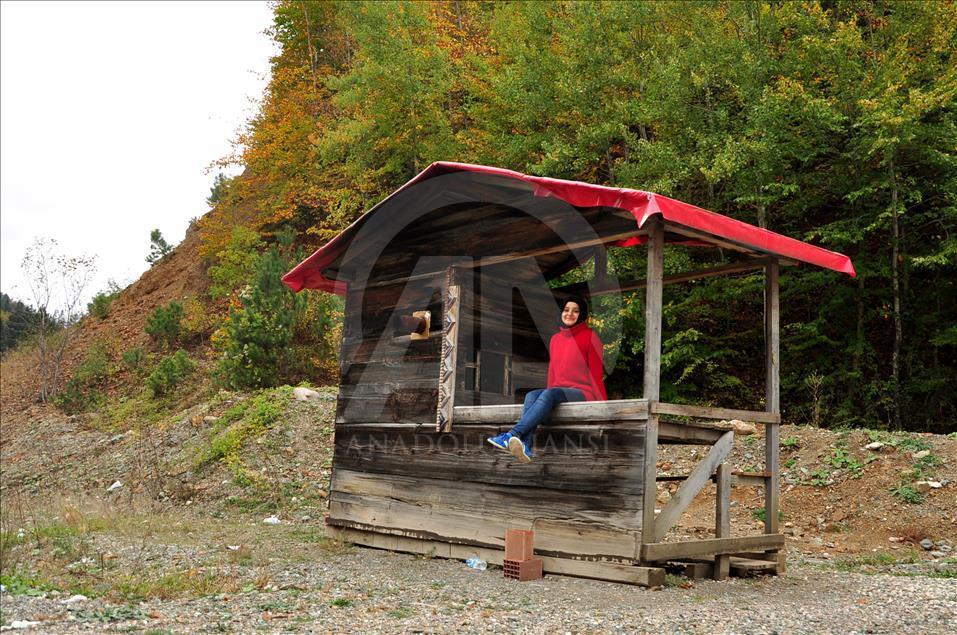 Kastamonu'da sonbahar