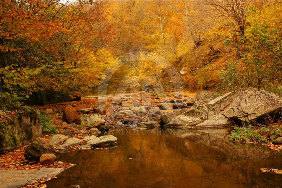 Kabaceviz Şelaleleri'nde görsel şölen
