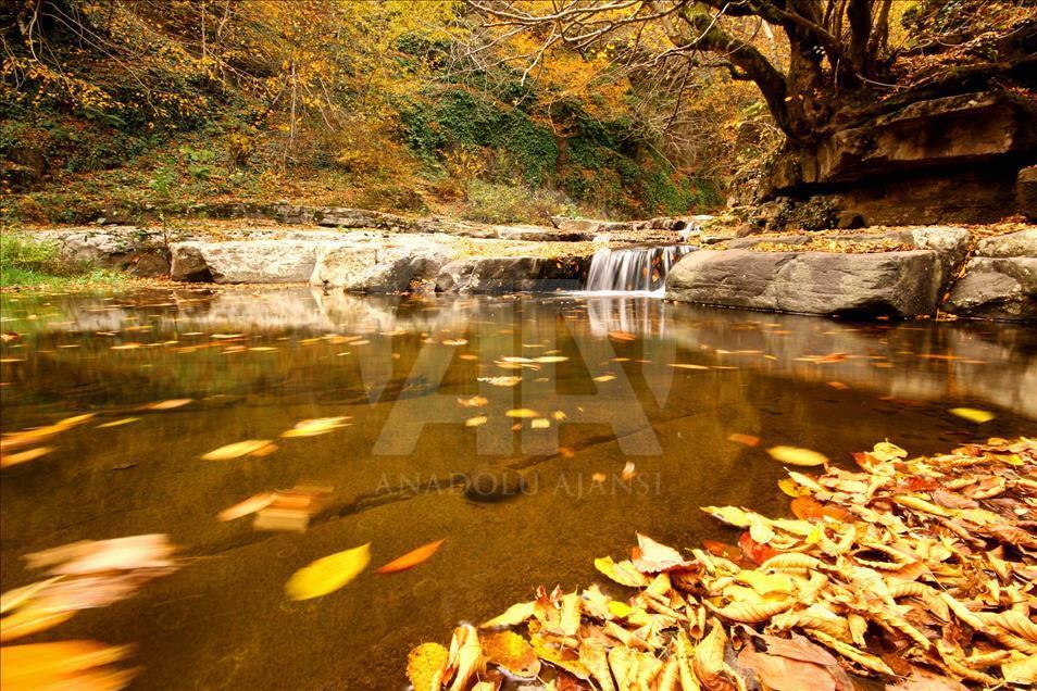 Kabaceviz Şelaleleri'nde görsel şölen
