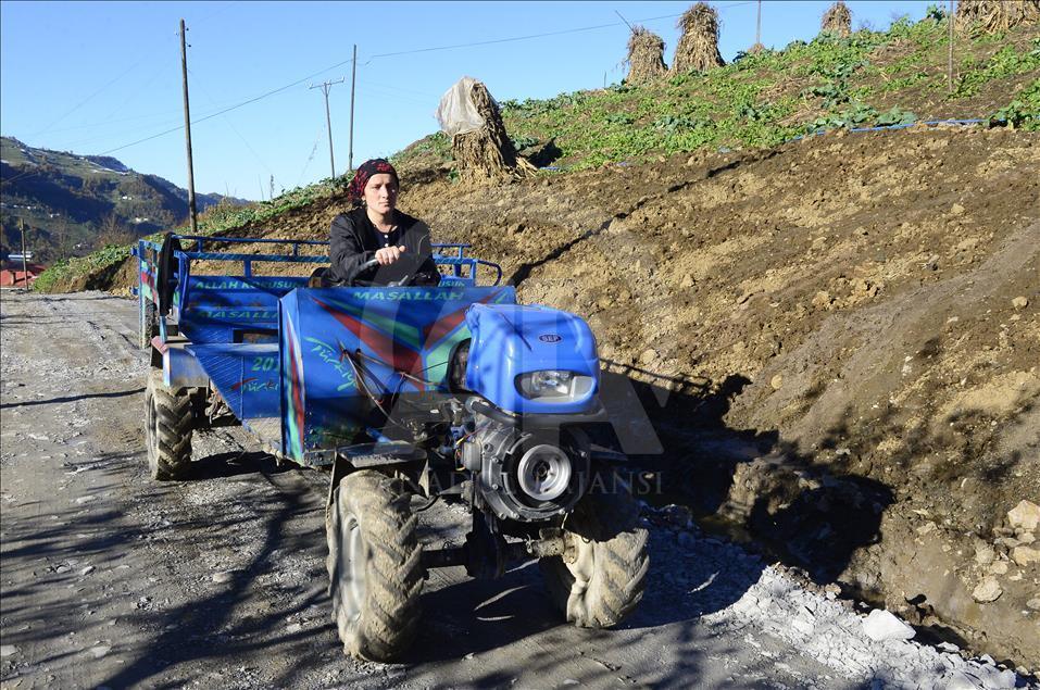 Üniversite eğitimi için patpatla yük taşıyıp tereyağı satıyor