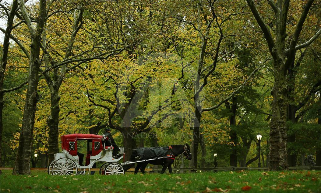 Jesen u Central Parku u New Yorku - Anadolu Ajansı