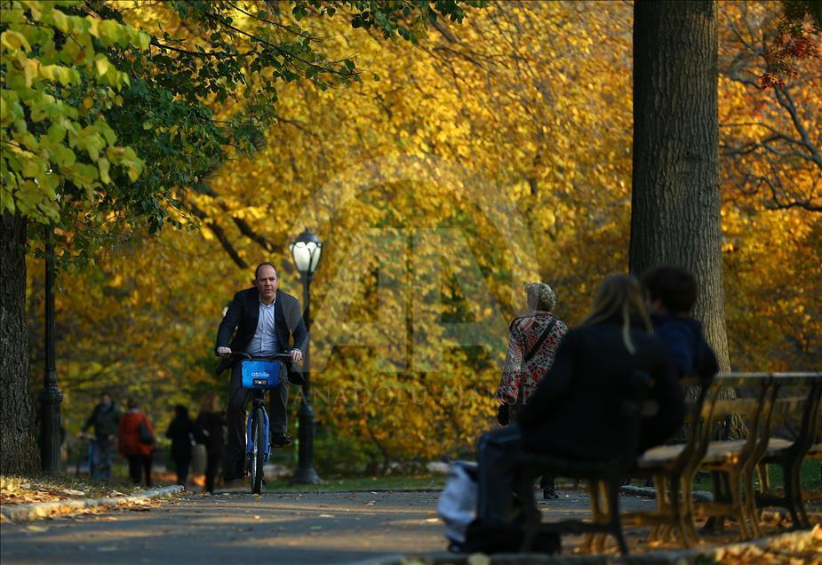New York’ta sonbahar