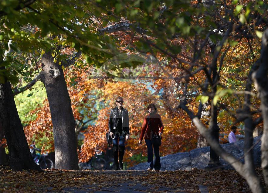 Jesen u Central Parku u New Yorku