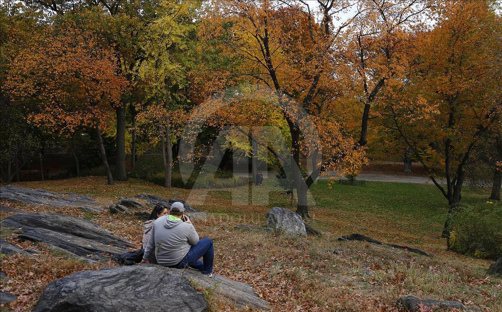 New York’ta sonbahar