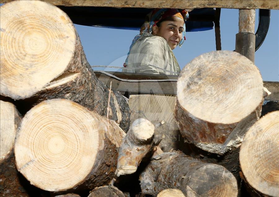 Ormanların "hızarlı" Sevinç'i