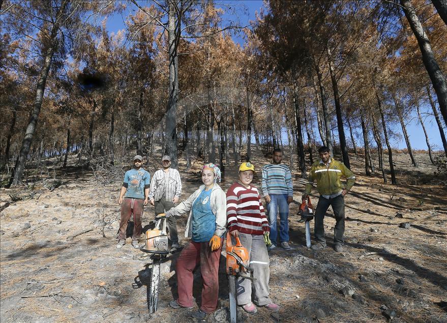 Ormanların "hızarlı" Sevinç'i