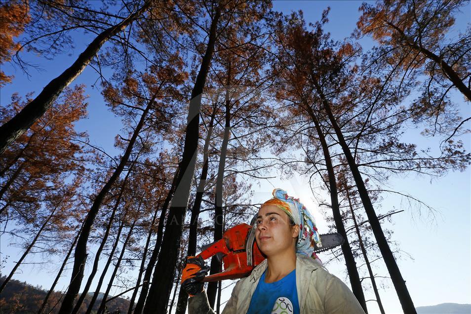 Ormanların "hızarlı" Sevinç'i