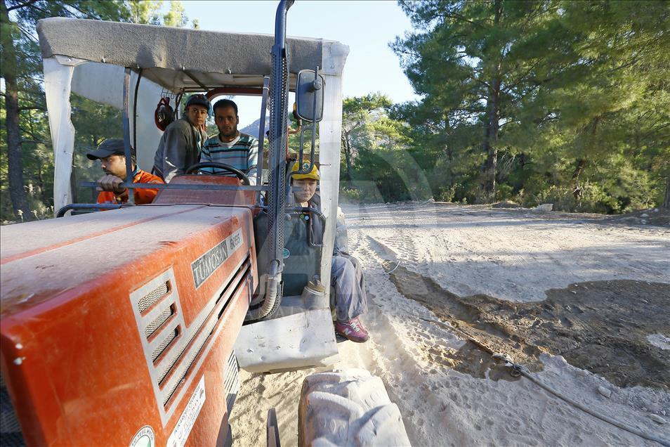 Ormanların "hızarlı" Sevinç'i