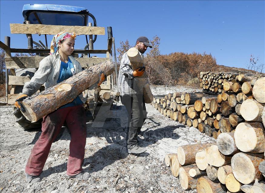Ormanların "hızarlı" Sevinç'i