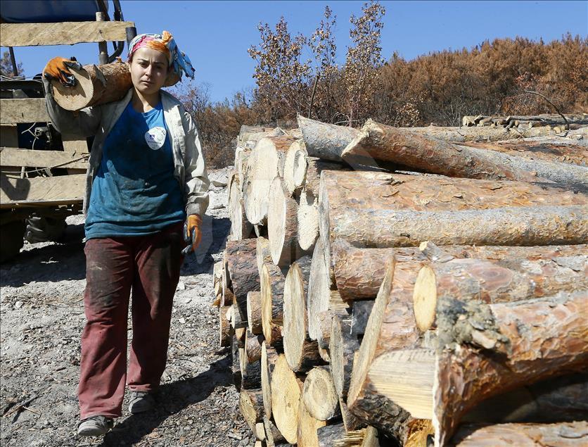 Ormanların "hızarlı" Sevinç'i