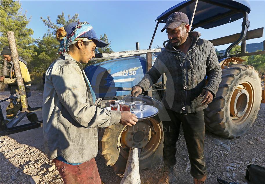 Ormanların "hızarlı" Sevinç'i