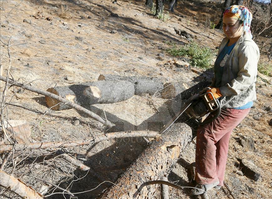 Ormanların "hızarlı" Sevinç'i