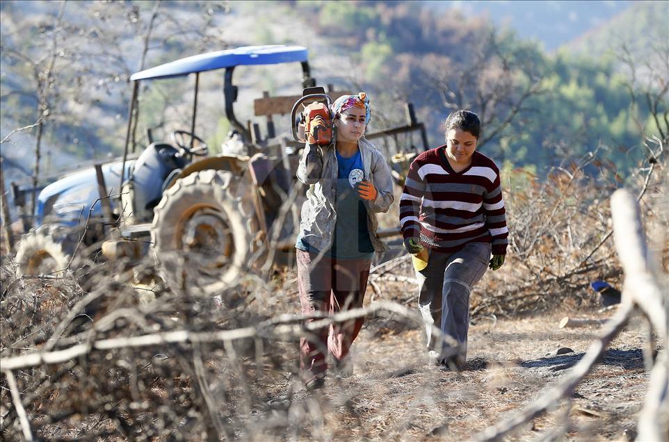 Ormanların "hızarlı" Sevinç'i