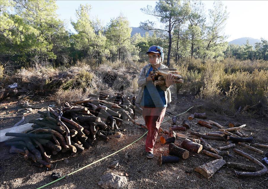Ormanların "hızarlı" Sevinç'i