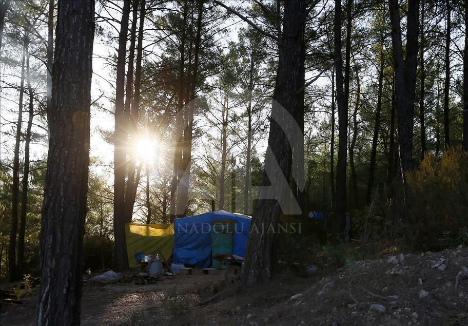 Ormanların "hızarlı" Sevinç'i