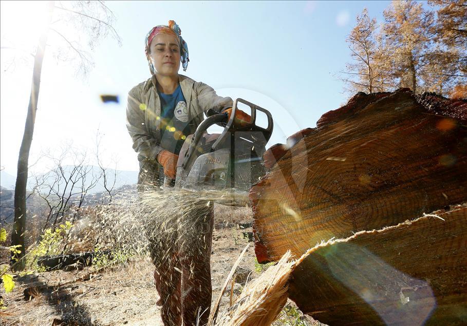Ormanların "hızarlı" Sevinç'i