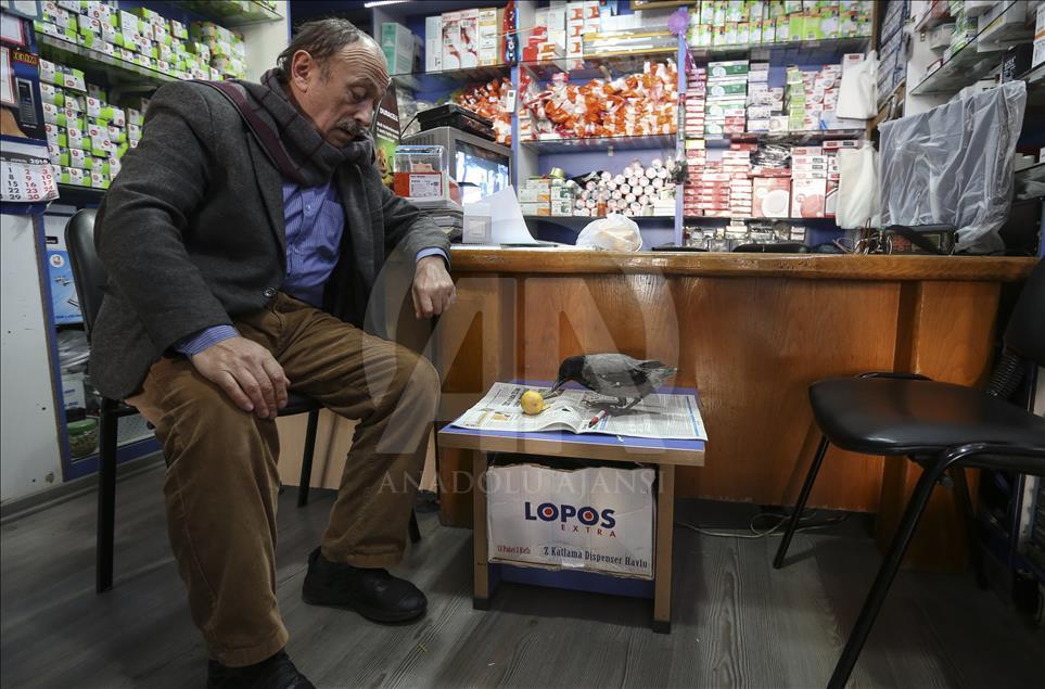 Onun karga sevgisi bir başka