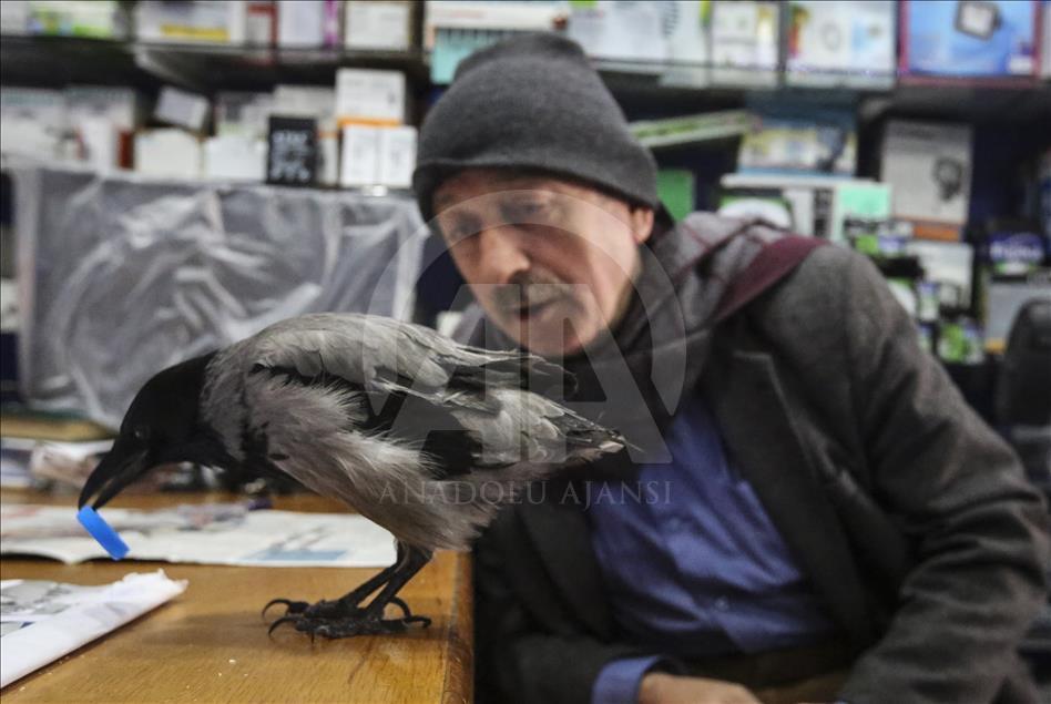 Onun karga sevgisi bir başka
