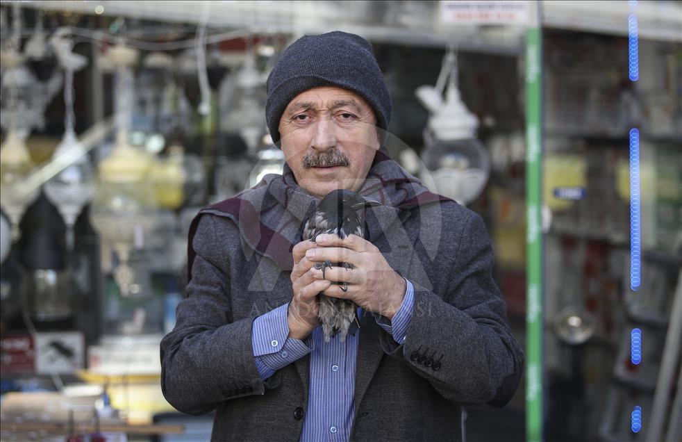 Onun karga sevgisi bir başka