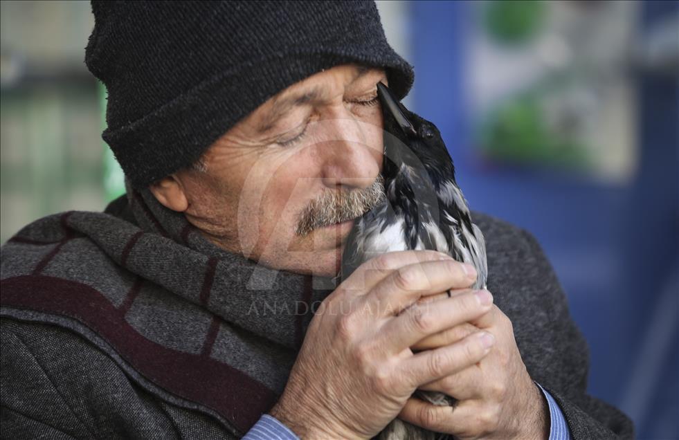 Onun karga sevgisi bir başka