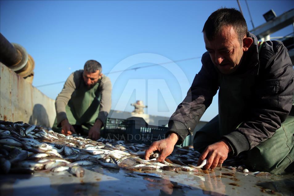 "Ekmek teknesi" sözü onlarla anlam buluyor