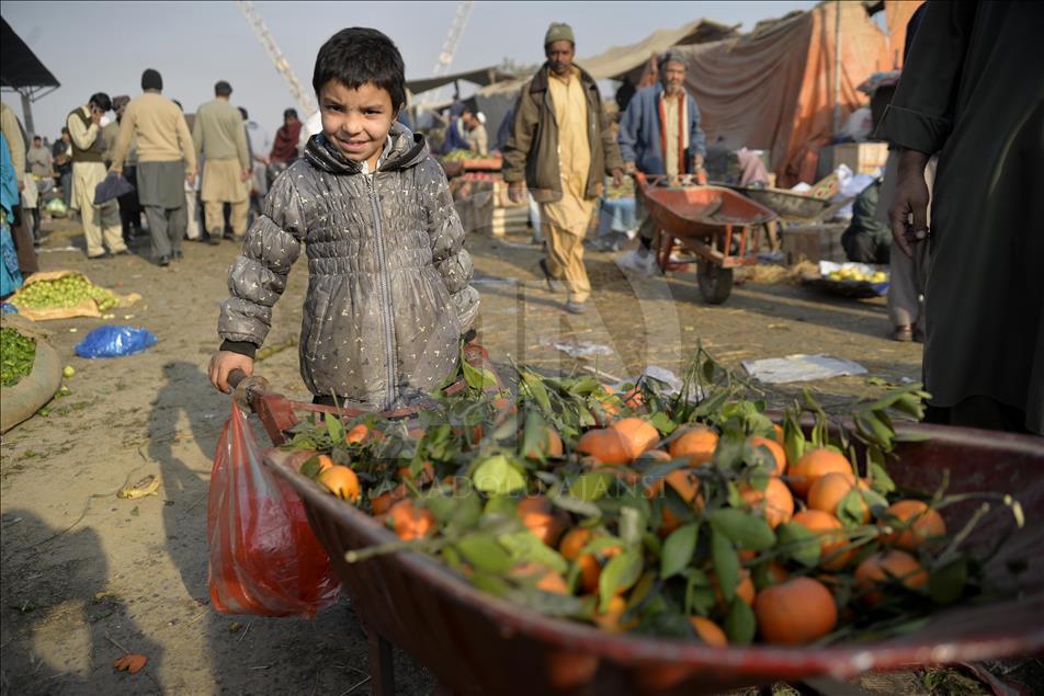 Pakistan'daki Afgan mülteciler