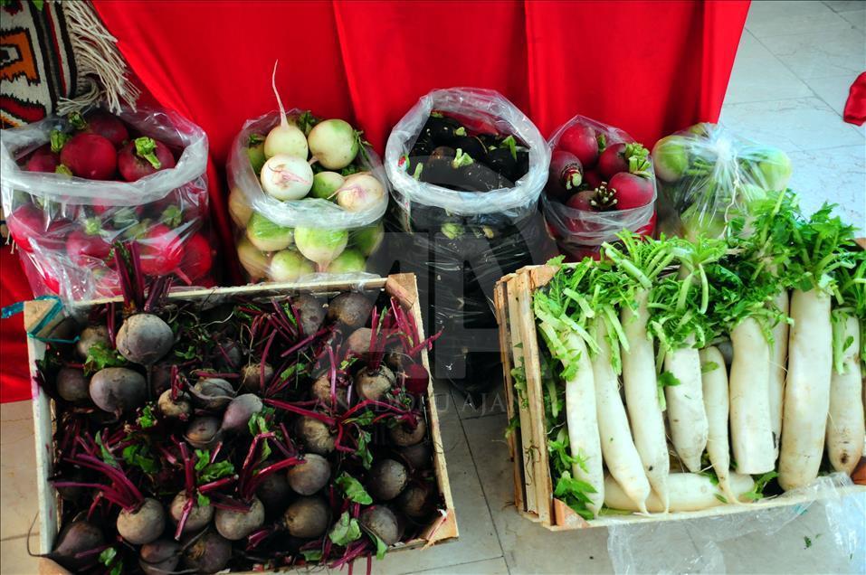 Turp diyarında hasat zamanı