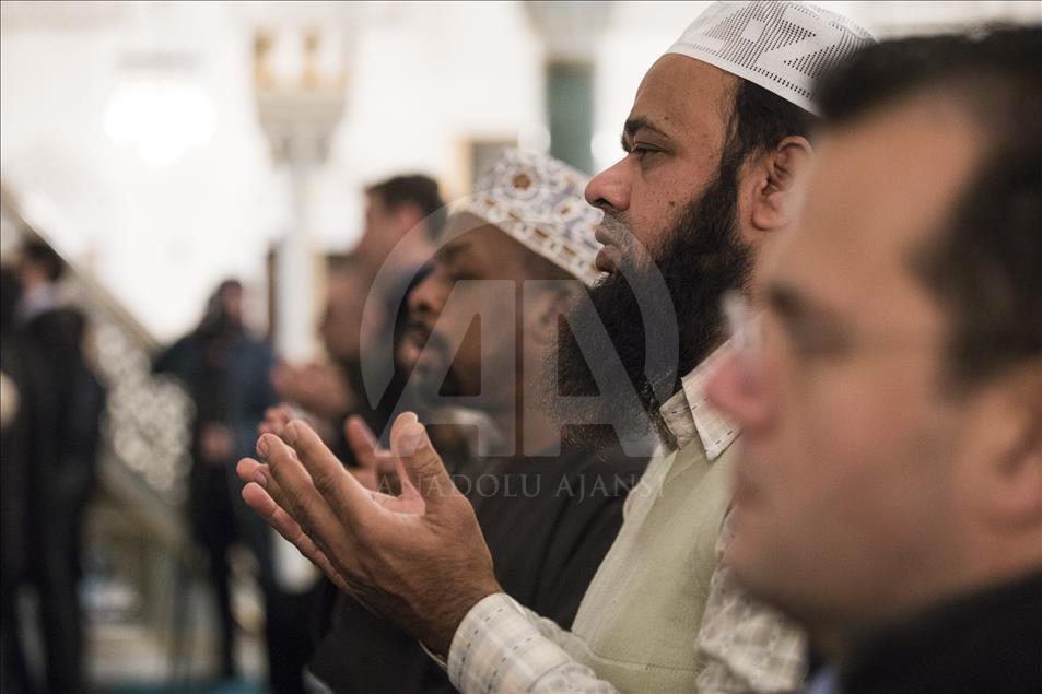 Mawlid Celebration
