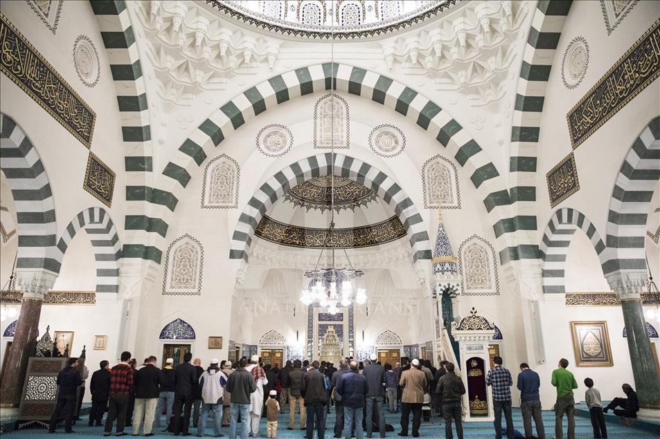Mawlid Celebration