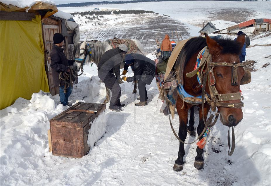 سورتمه سواری با اسب در قارص ترکیه
