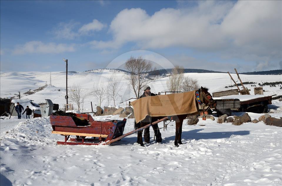 سورتمه سواری با اسب در قارص ترکیه