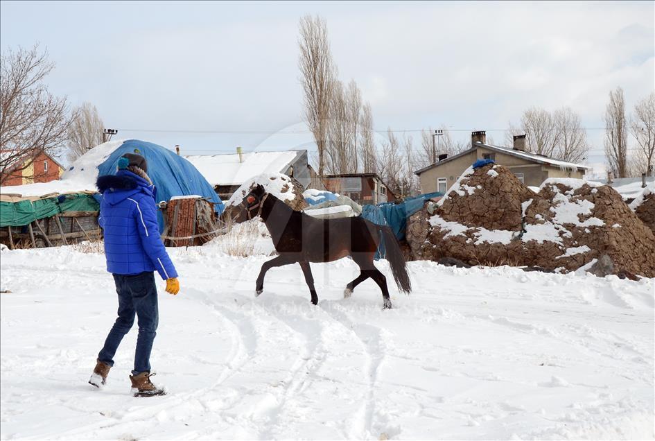 سورتمه سواری با اسب در قارص ترکیه