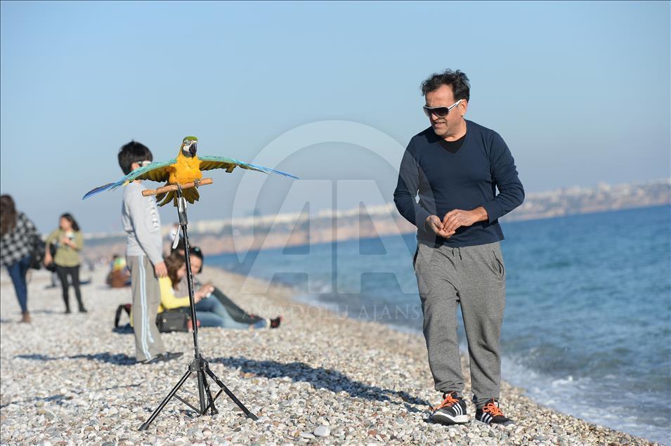 Papağan "Cabbar" ile sahibinin 20 yıllık dostluğu 